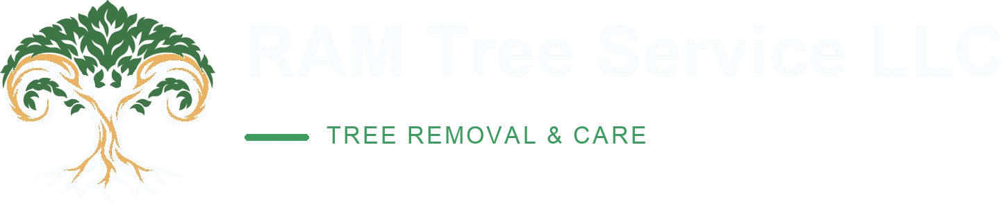 RAM Tree Service - Fort Worth, TX